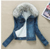 Lambswool Jeans Coat Denim Jacket